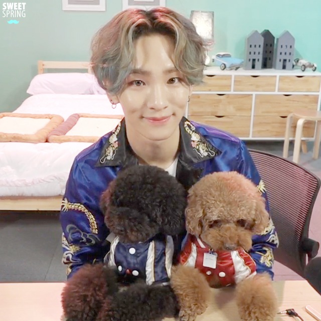 Shinee-Key-with-Commedes-Garcons kpop idols dogs