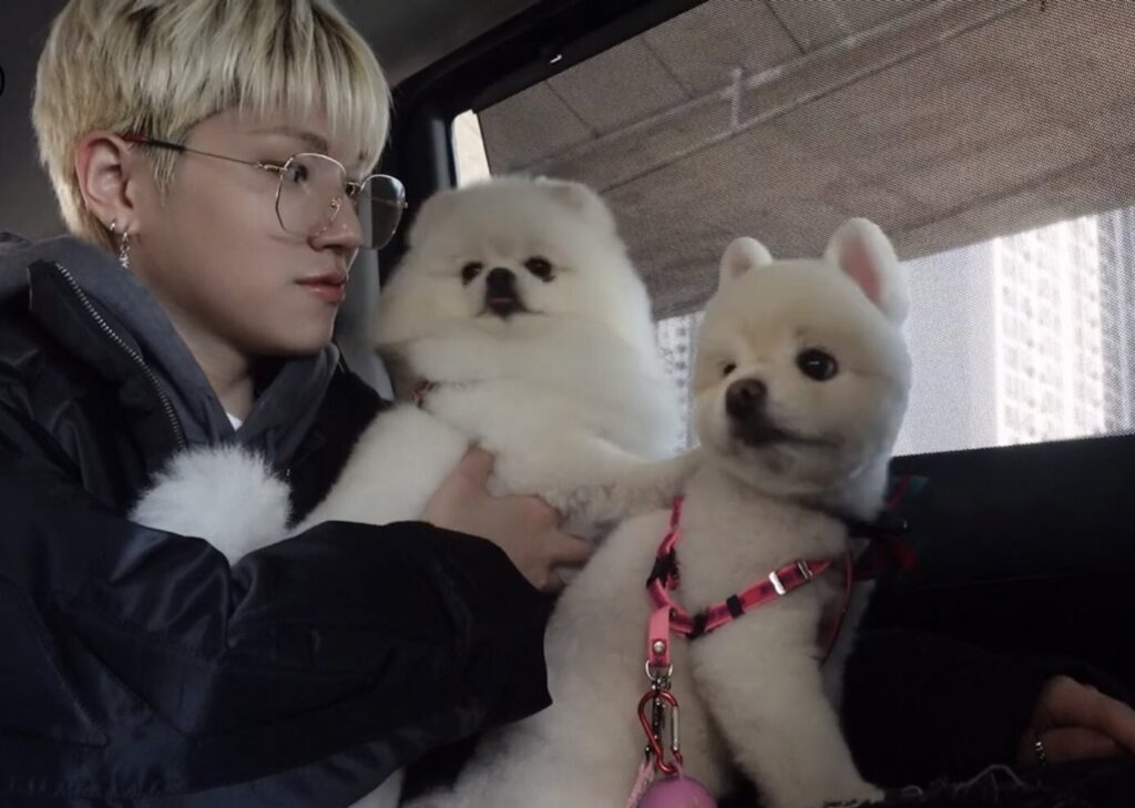 Riwoo-with-Daebak-and-Jjangyi