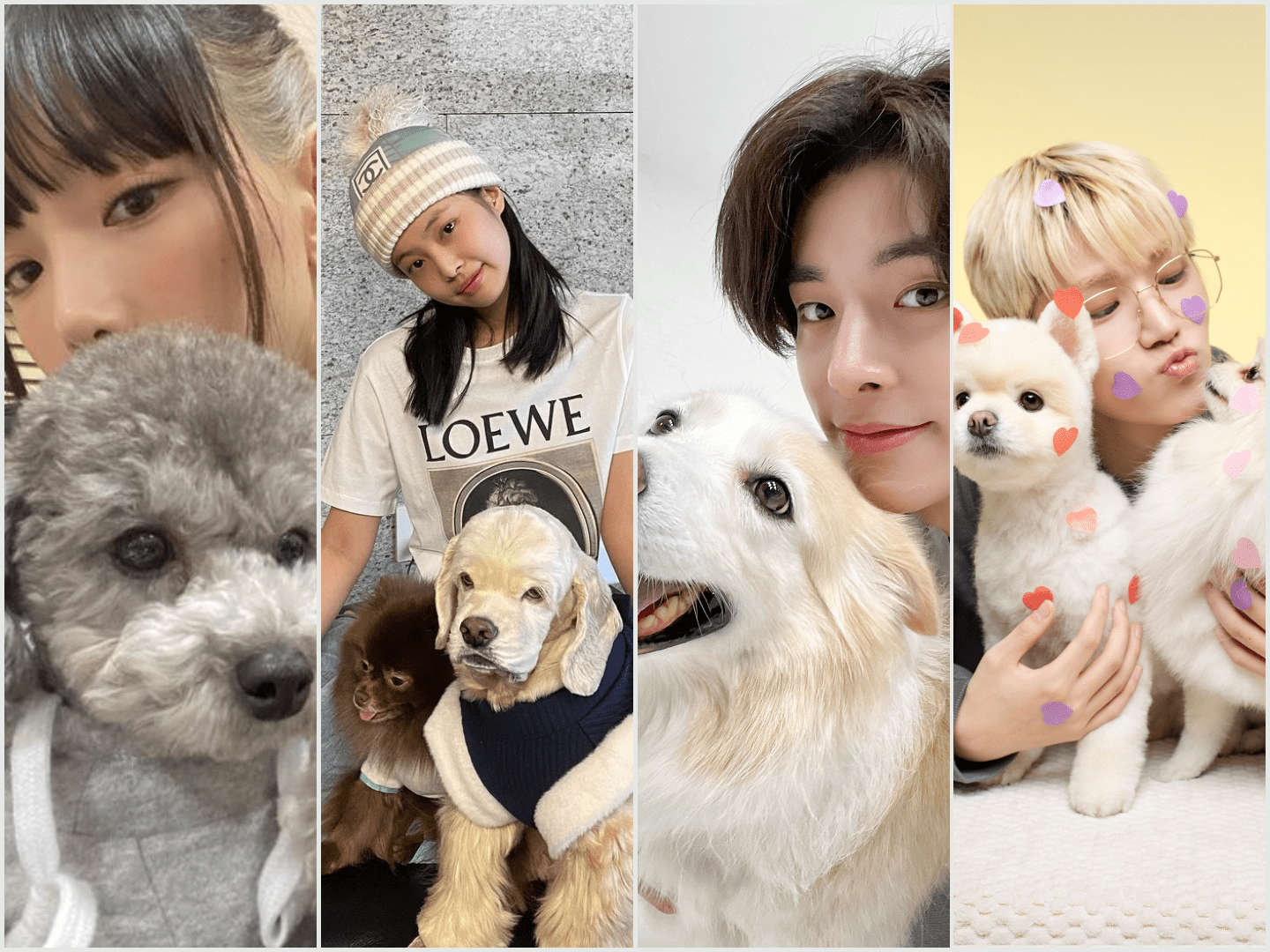 kpop-idols-with-dogs K-pop dogs