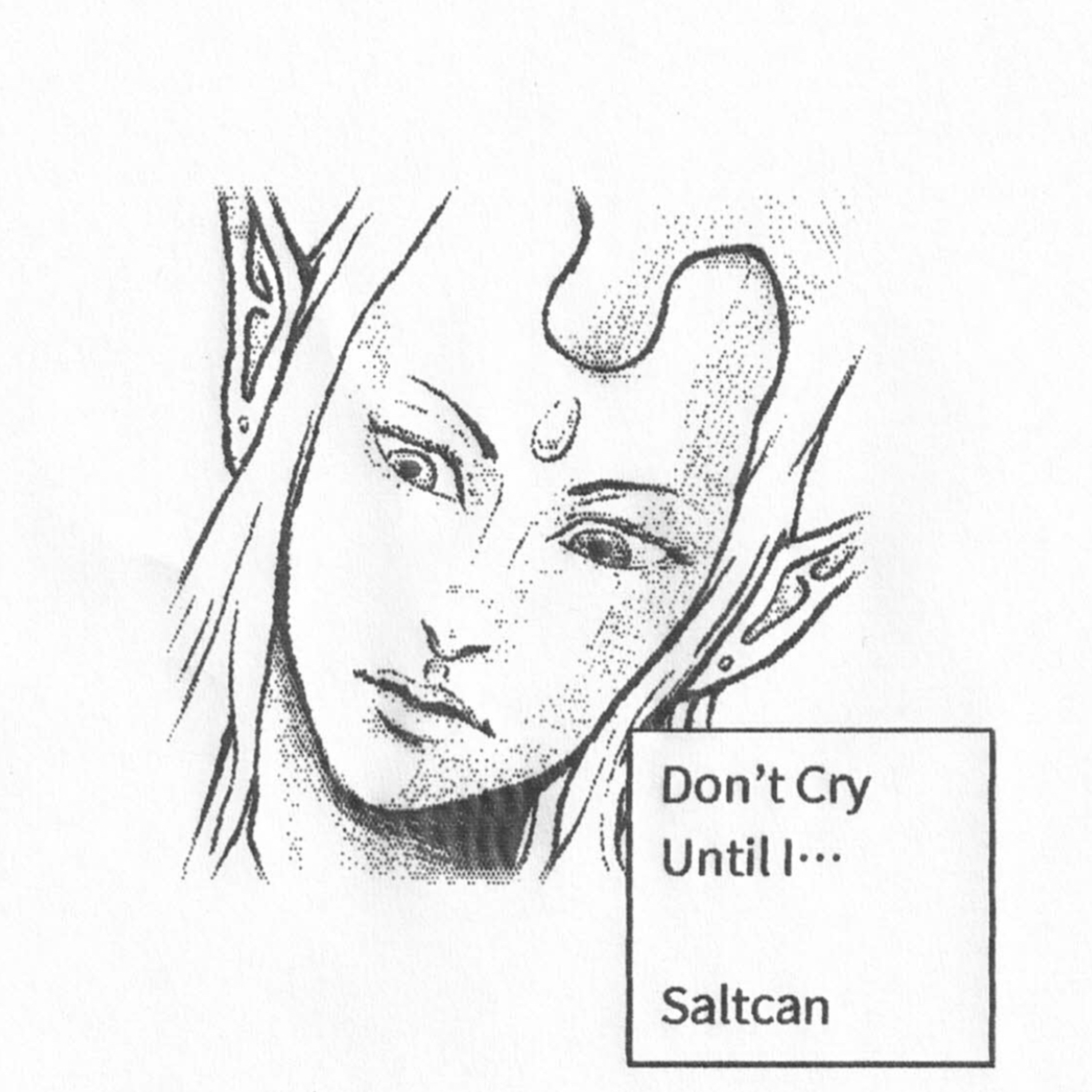 saltcan don't cry until i poster