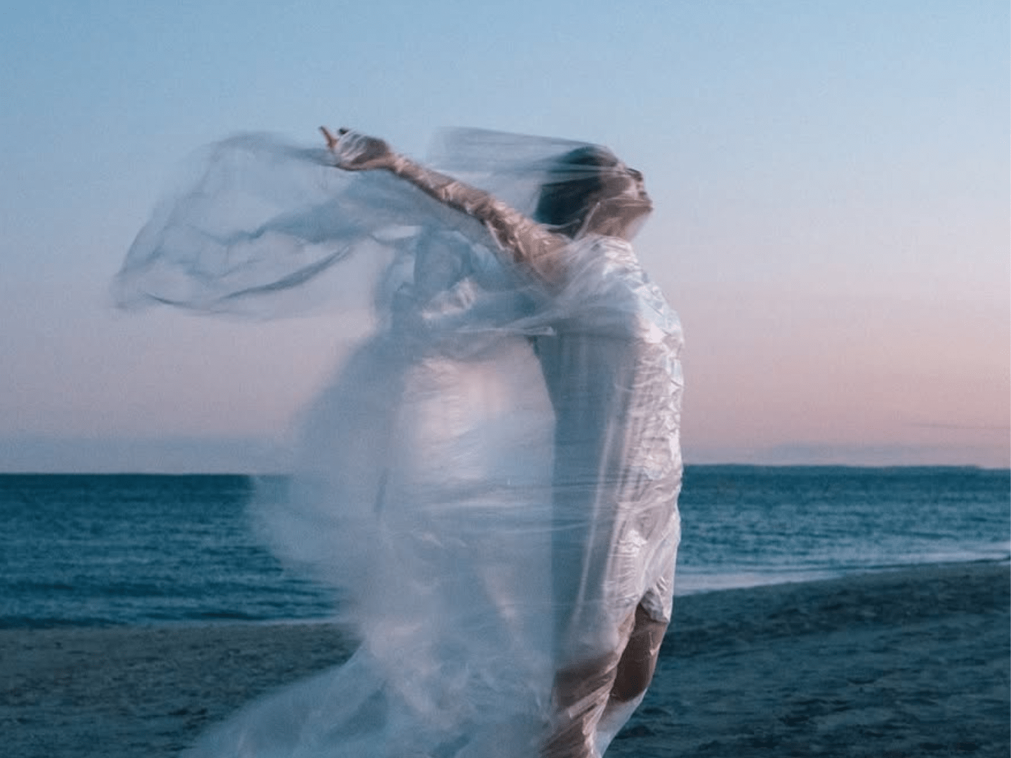 Camille Schmidt featured image