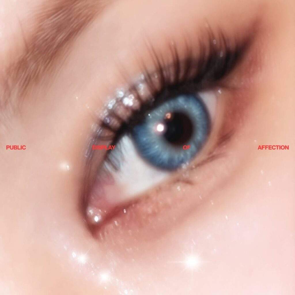 single cover for pda by 2025