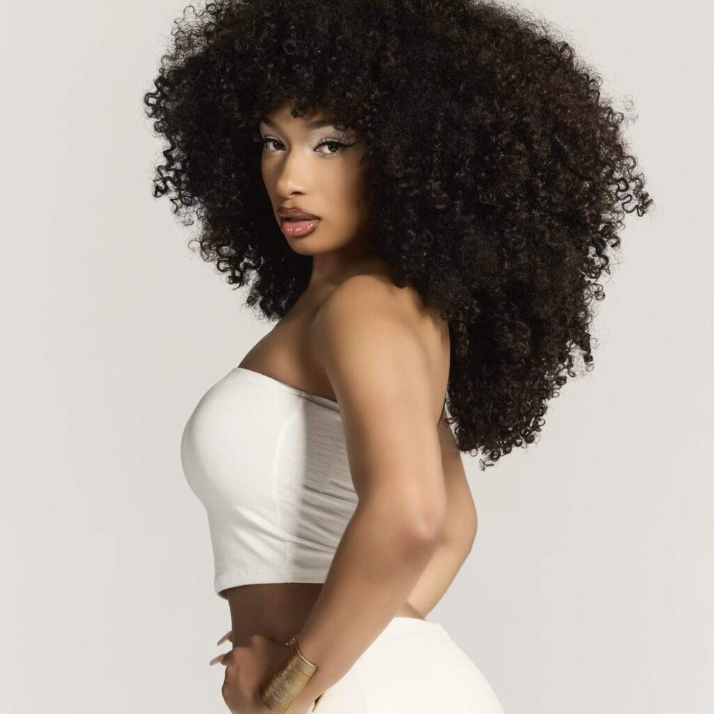 prime video megan thee stallion documentary