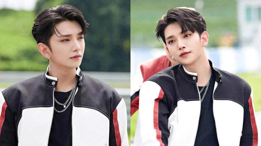 seventeen joshua looked straight out of kdrama anyone video