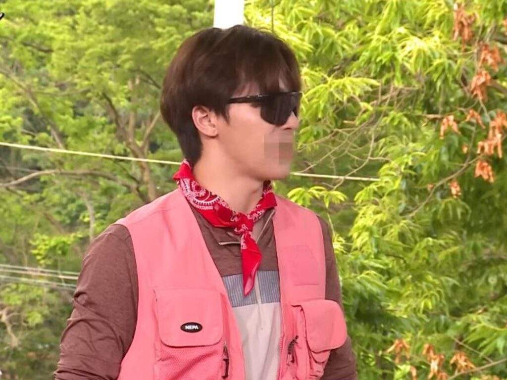 Seventeen GOSE with Dino as Picheolin