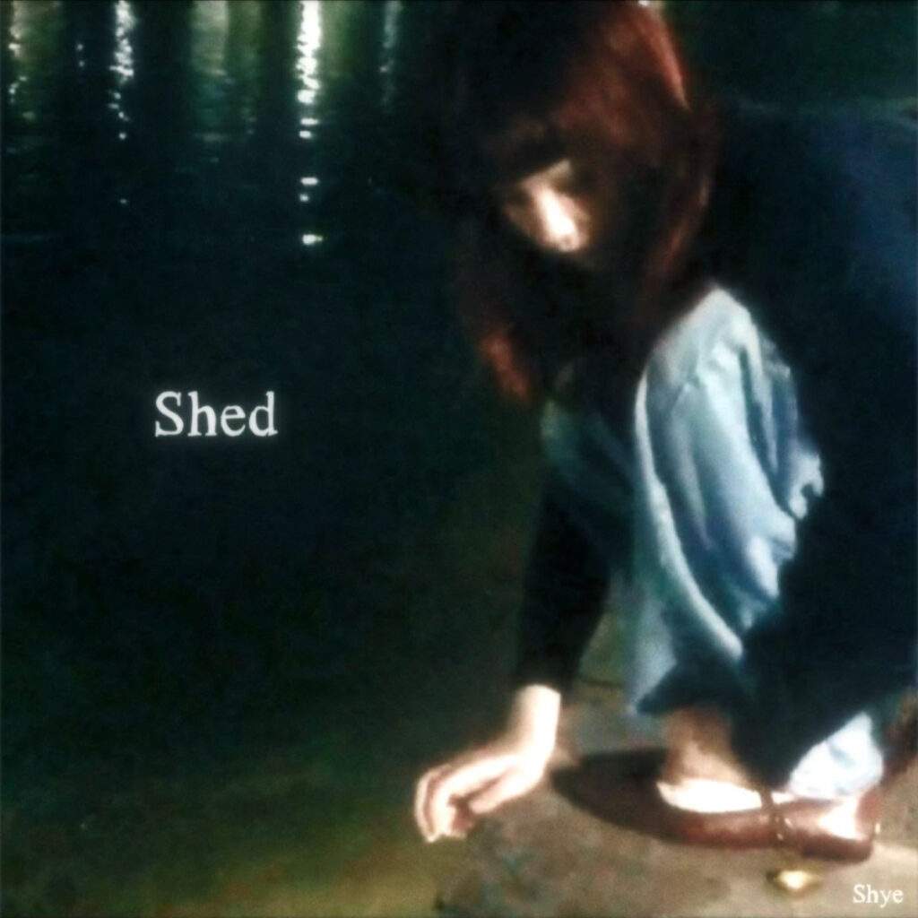 shed new song shye