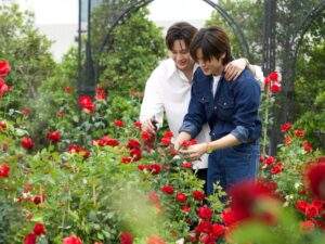 Revamp Final Episode