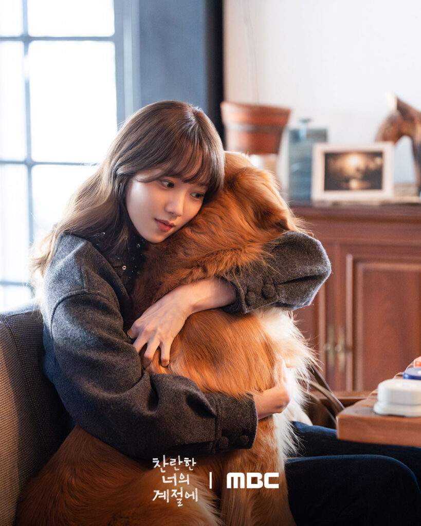 In Your Radiant Season Episode 8