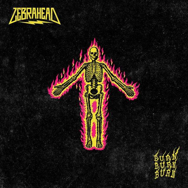 zebrahead
