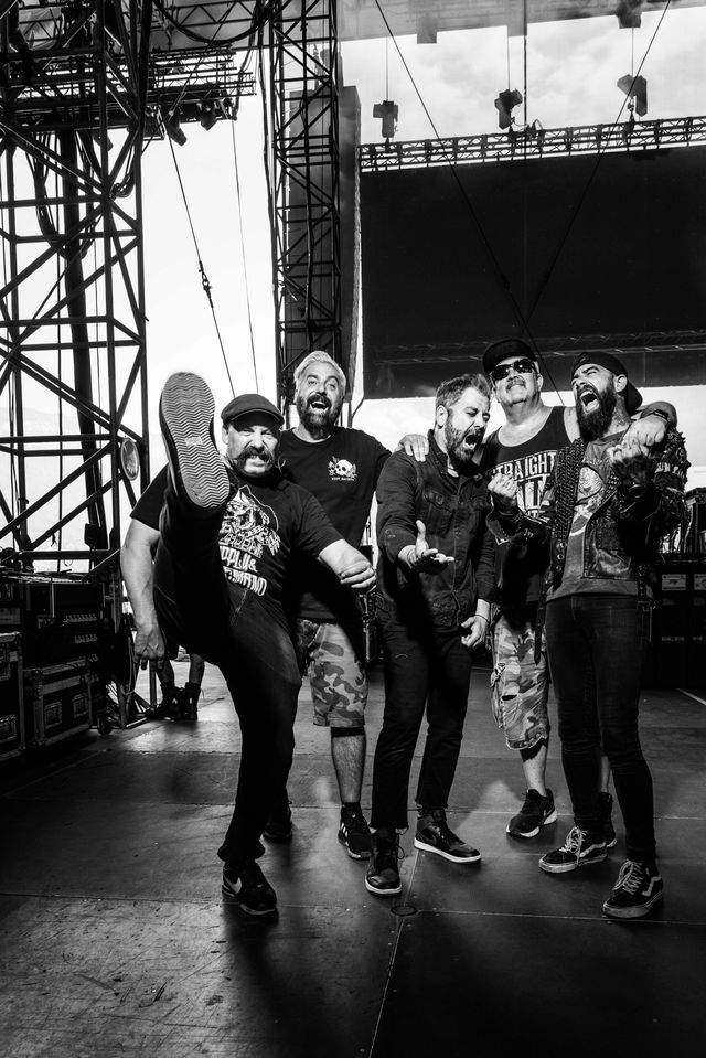 zebrahead