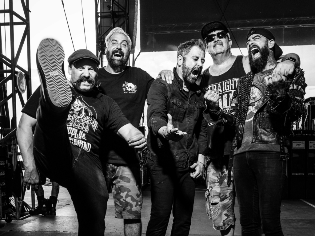 zebrahead featured image